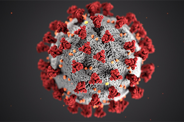 Center for Disease Control and Prevention: 3D Illustration of 2019-nCoV virus