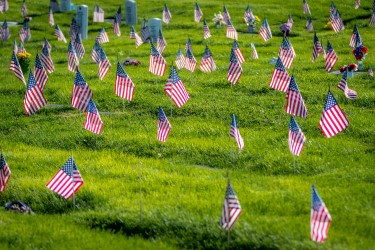 Group of flags of the United States of America