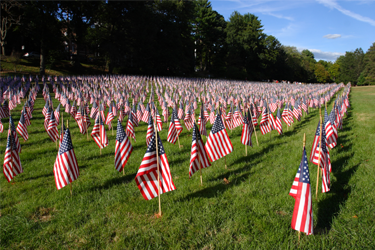 Group of flags of the United States of America