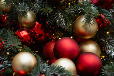 Close-up of a collection of red and gold ornaments within the branches of a Christmas tree.