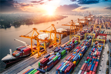 New Section 1205 Webpage